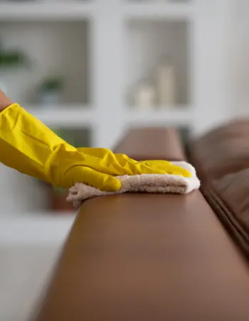 Deri Koltuk Temizleme